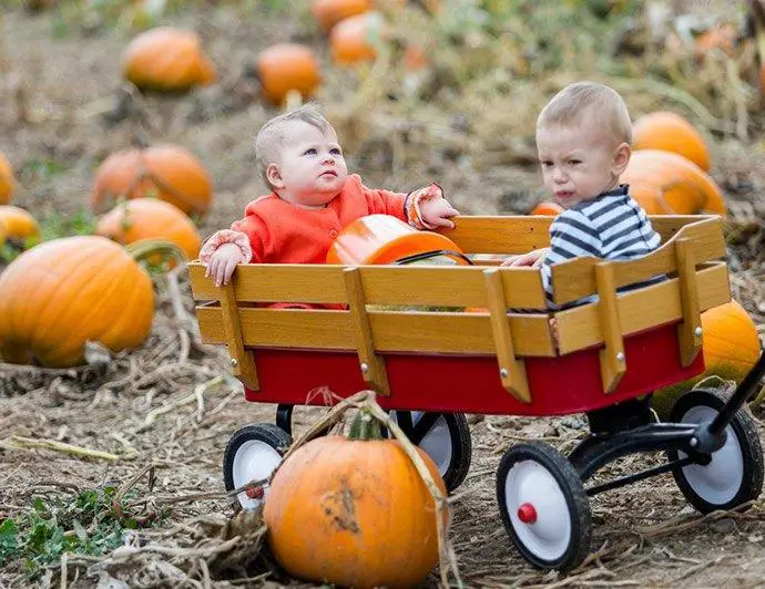 top kids wagons
