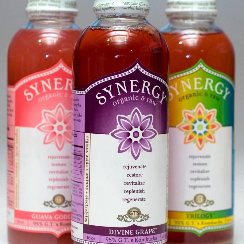 Synergy-Kombucha-Probiotic-Blog-Page