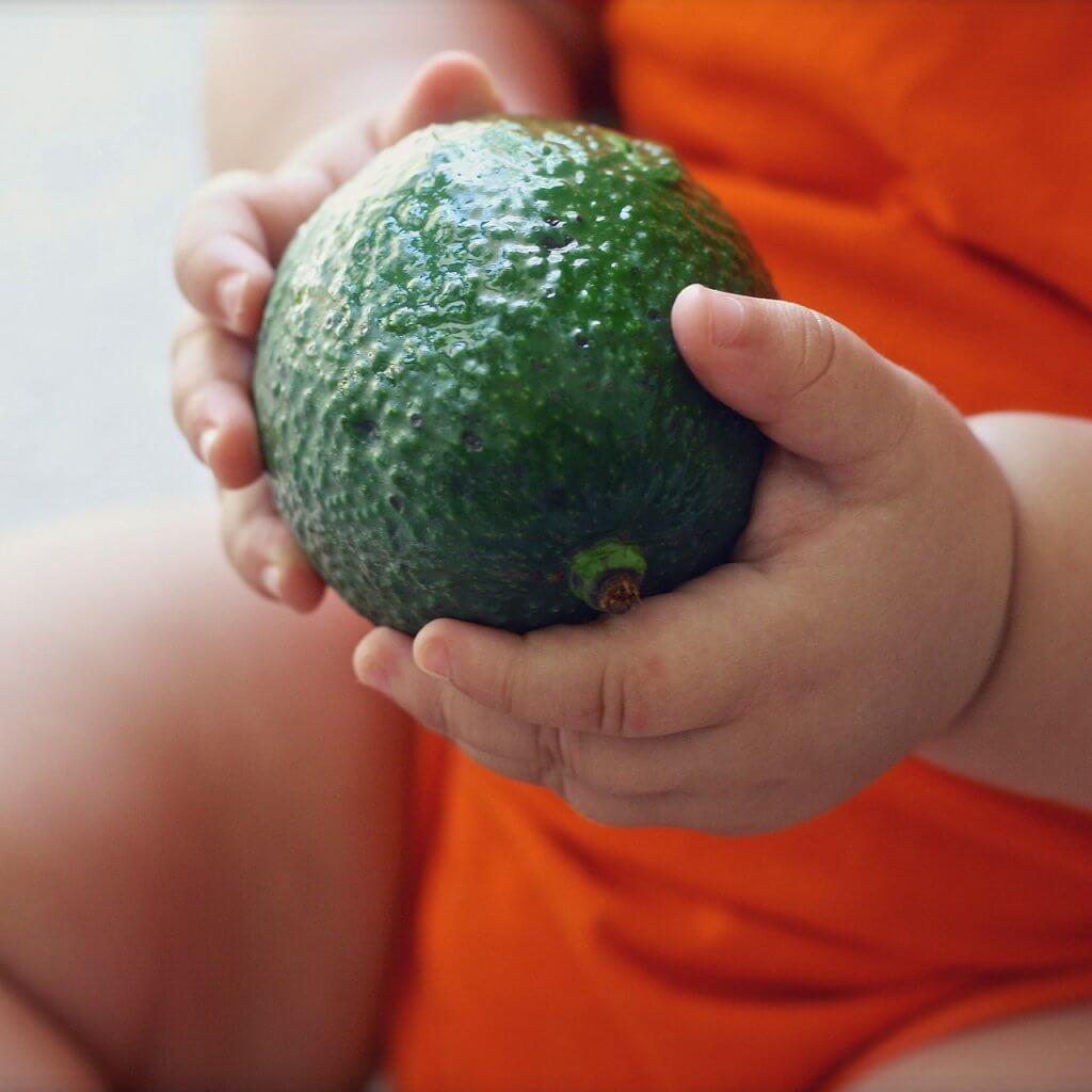 Baby-Holding-Avocado-Blog-Page-How-To-Make-HomeMade-Baby-Food