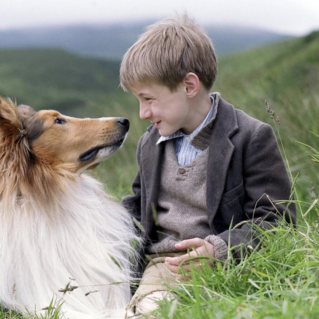 Lassie-Family-Dog-Introduce-Kids-First-Dog-Blog-Page