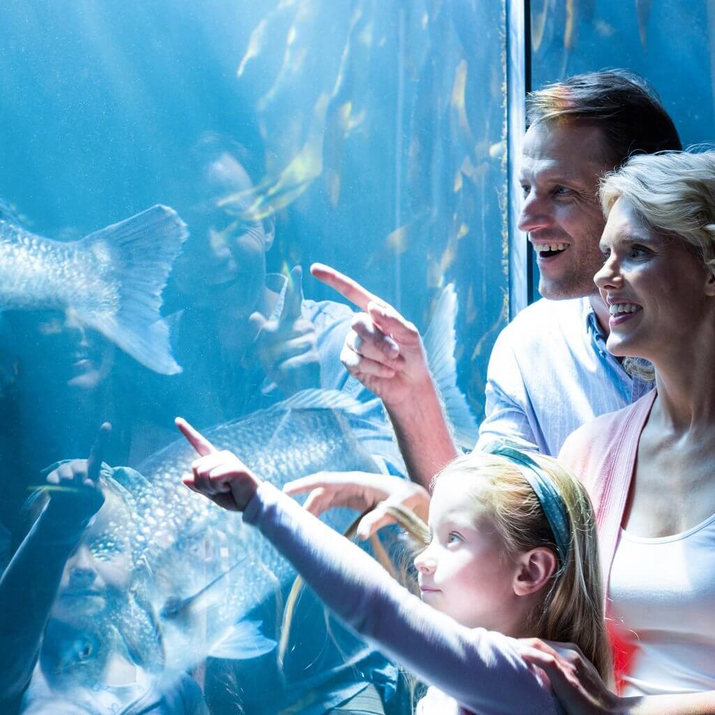 Aquarium-Family-Having-Fun-Traveling-Blog-Page