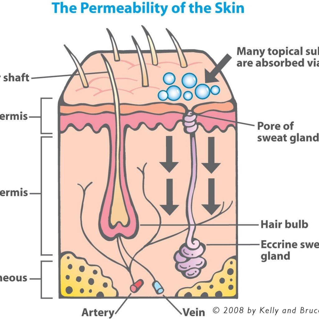 dermis-kids-skin-care-blog-page