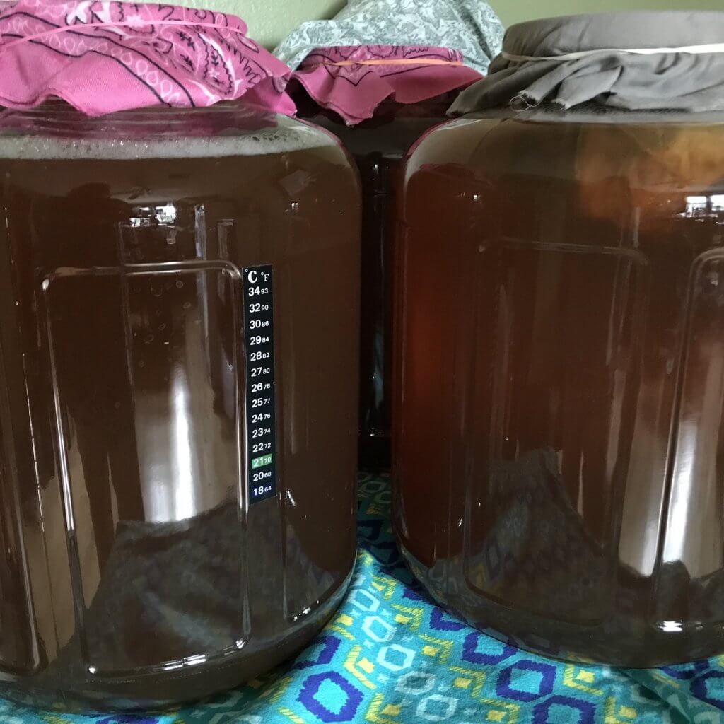 Kombucha-Jugs-Kombucha-Part-Two-Blog-Page