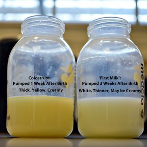 To Breastfeed or to Bottlefeed: What to Consider | Borncute.com