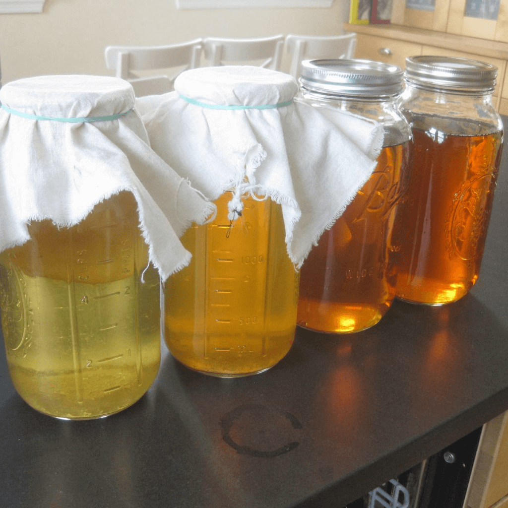 kombucha-blog-page-2