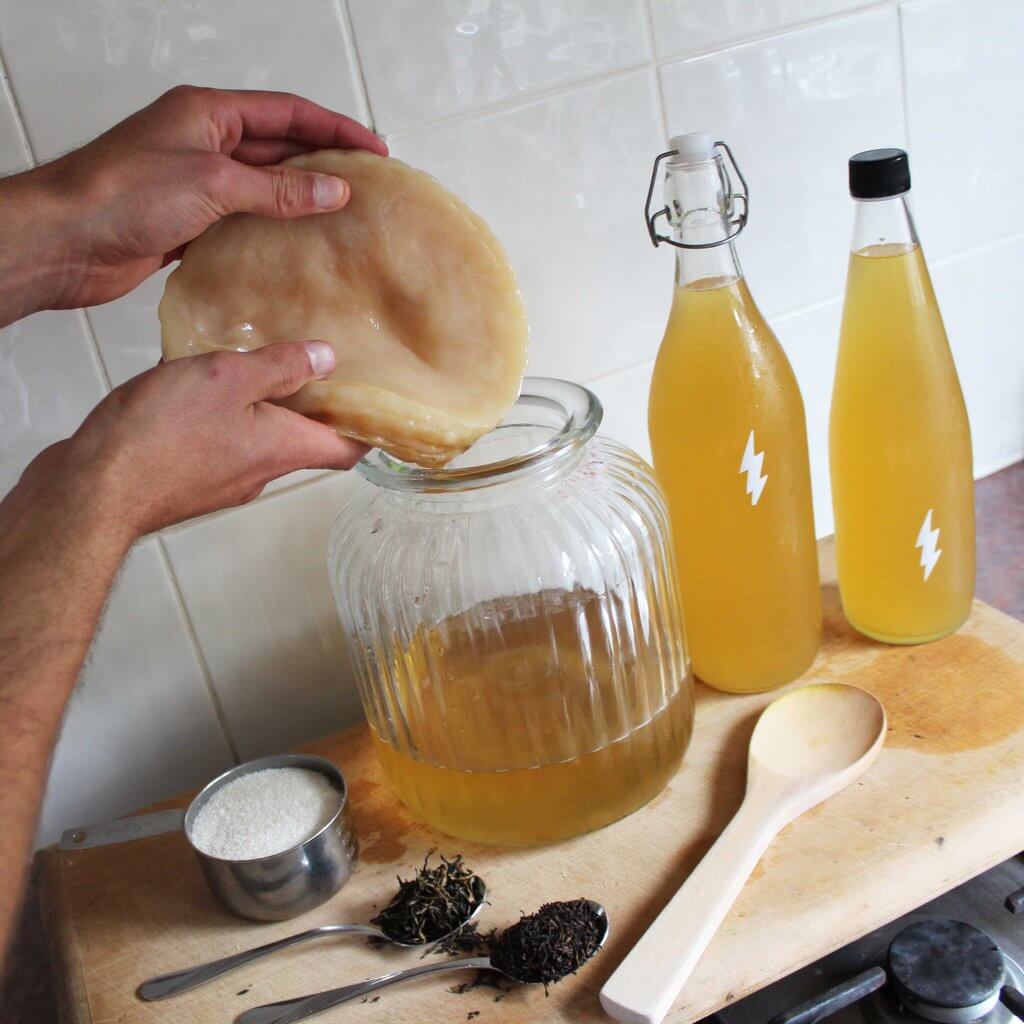 kombucha-probiotics-blog-page