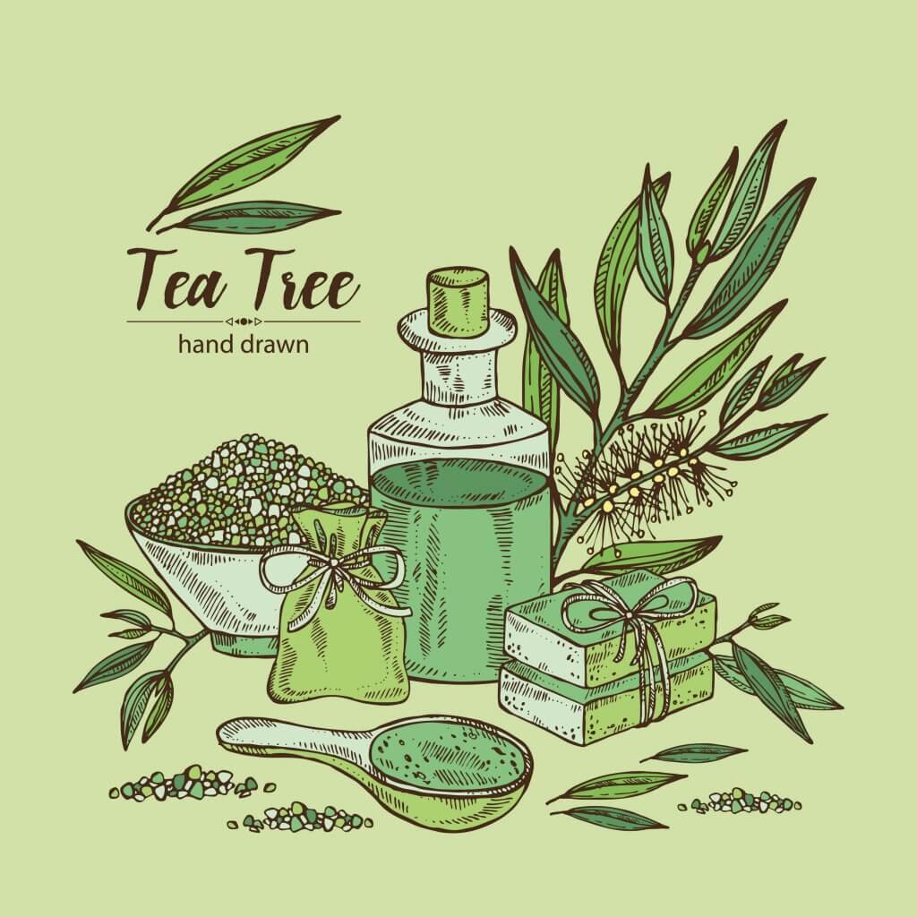 Tea-tree-oil-stretch-marks-blog-page