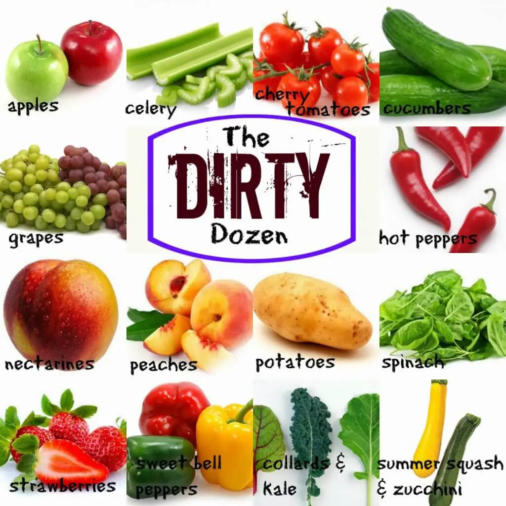 dirty-dozen-organic-blog-page