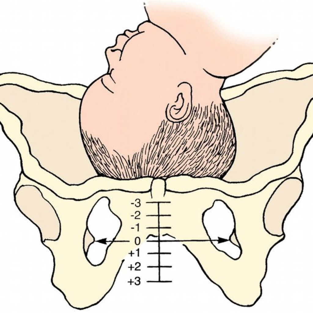 36 Weeks Pregnant Symptoms And What To Expect L 