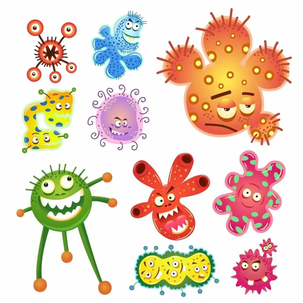 grow-own-germs-blog-page