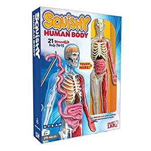 5. SmartLab Toys Human Body