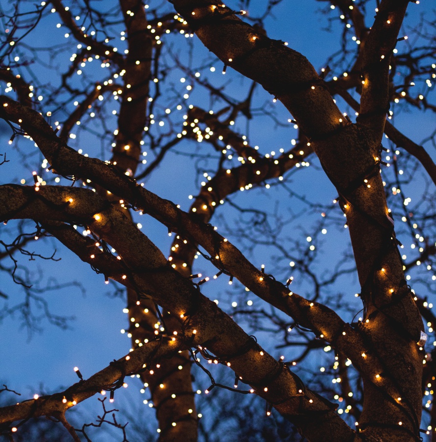 Top Rated Christmas Lights Reviewed in 2022 BornCute