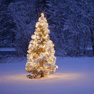 pretex tree with lights
