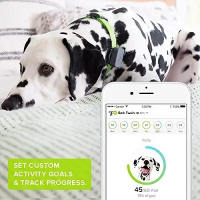 whistle go dog gps tracker details