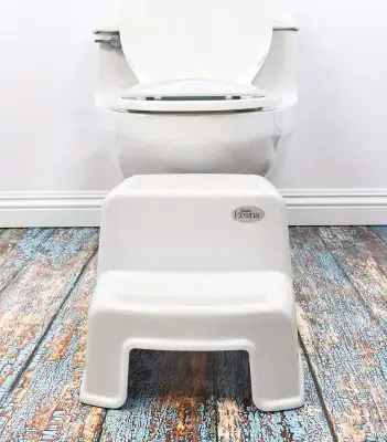 secure home dual height step stool potty