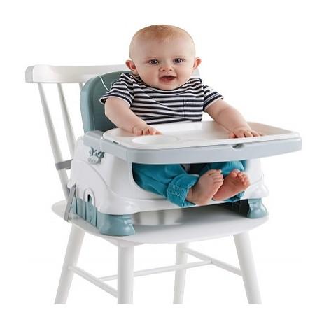 fisher-price healthy care deluxe booster seat & high chair infant