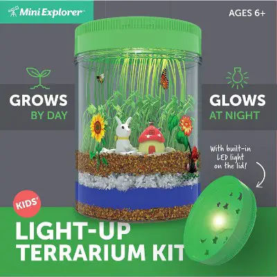 mini explorer light up terrarium gifts for 6 year old boys box