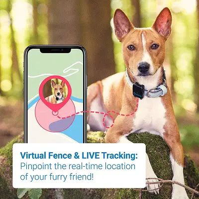 tractive dog gps tracker app