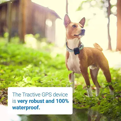 tractive dog gps tracker