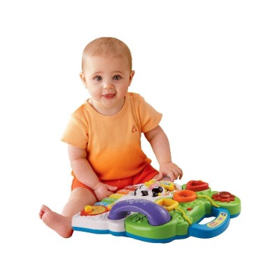 VTech Sit-to-Stand Learning Walker