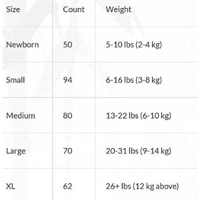 Andy Pandy Size Chart