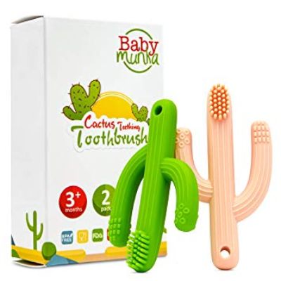 cactus teether toothbrush