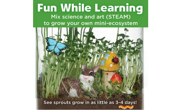 Creativity for Kids Grow 'n Glow Terrarium fun STEM toy
