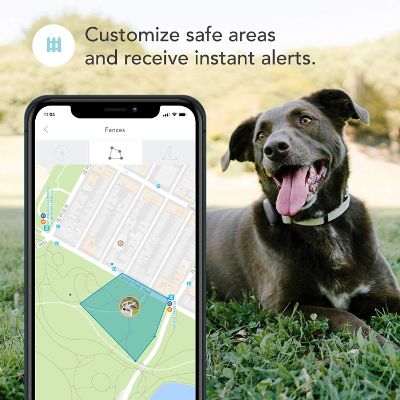 Findster Duo GPS Tracking Safe Areas