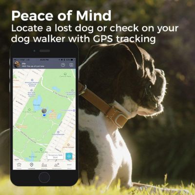 Link AKC Dog GPS Collar Map