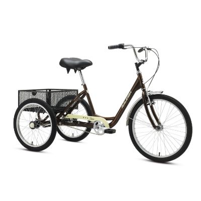 Raleigh Family Bike Black