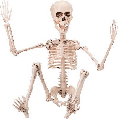 posable skeleton halloween decorations front