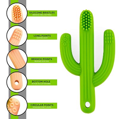 baby munka cactus teether baby & toddler toothbrush features