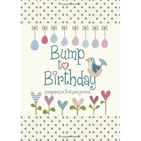 bump to birthday, pregnancy & first year pregnancy journal cover