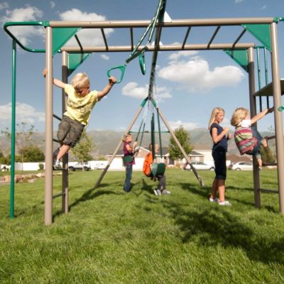 Lifetime Monkey Bar Adventure outdoor playset gym rings