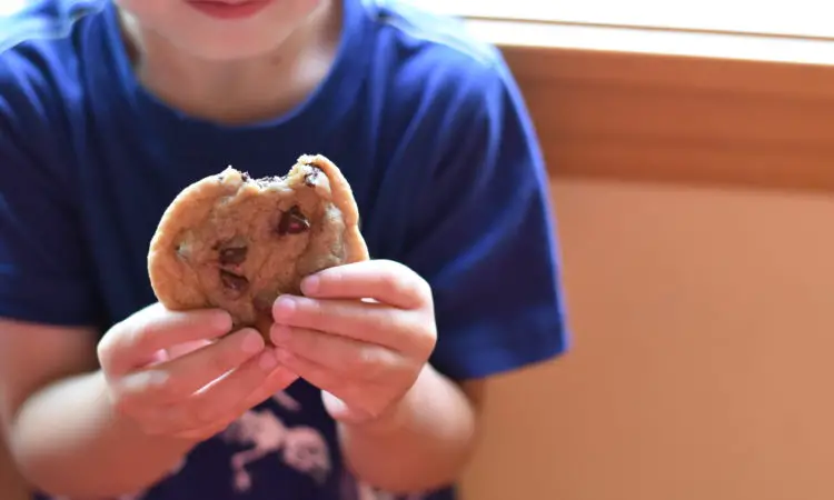 chocolate chip sensory play for toddlers