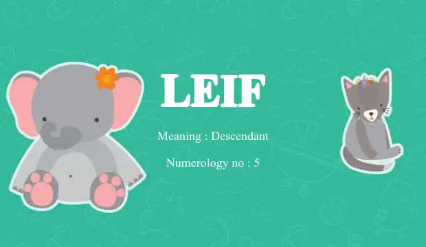 leif name meaning