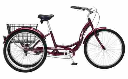 Schwinn Meridian Full Size