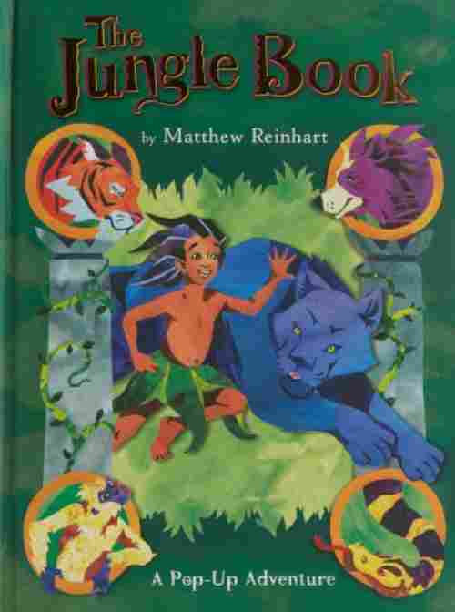 the jungle pop up book cover