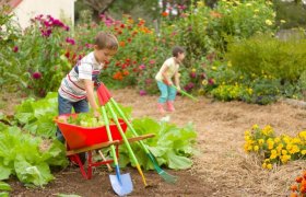 10 Best Garden Tools for Kids Reviewed in 2024