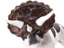 triceratops halloween dog costume design
