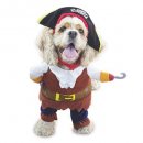 pirates of the caribbean halloween dog costume design