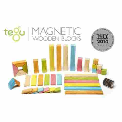 Tegu Magnetic Wooden Set