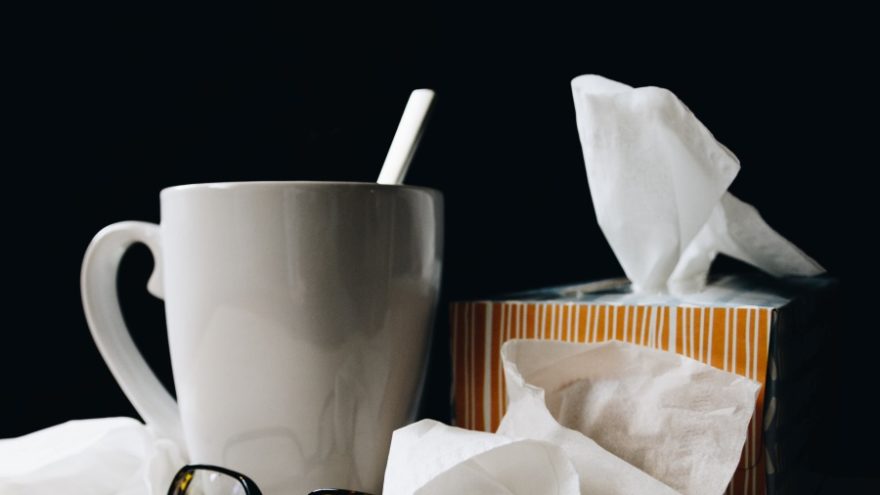 5 Foods to Ward off the Flu this Autumn Here are the 5 foods you can consume so you can ward off the flu this autumn.