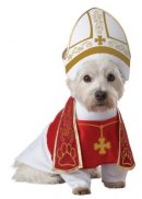 holy hound halloween dog costume 