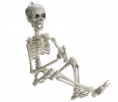 posable skeleton halloween decorations design