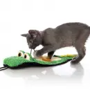 hartz gator just for cats toy