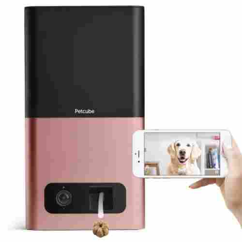 petcube bites pet camera 1080p