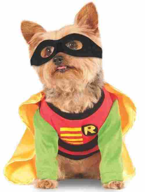 DC comics robin halloween dog costume design