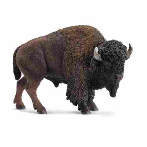 American Bison Figure