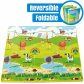 Hape Foldable Reversible